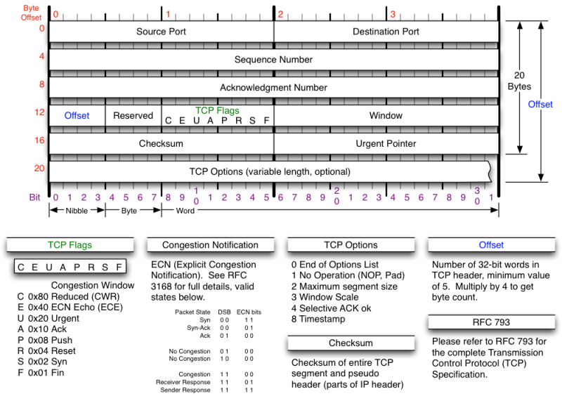 TCP header